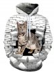 Men's Hoodie Graphic Hooded Holiday Casual Hoodies Sweatshirts White